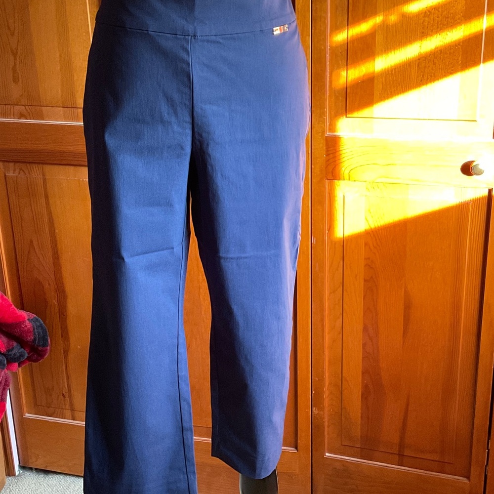 INC International Concepts Navy Capris